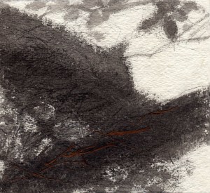 Leaf Blower Suite #1