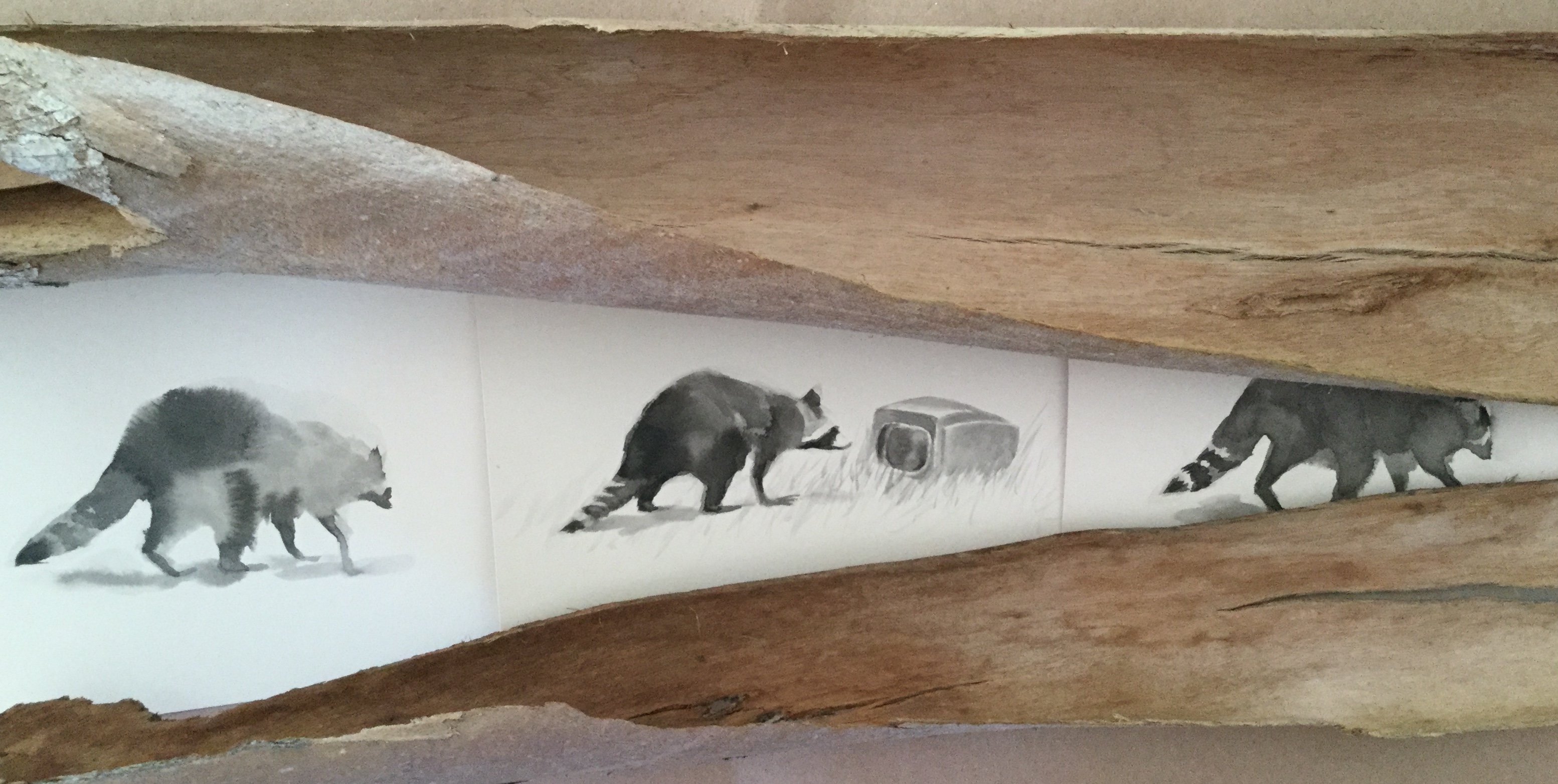 D02C7943-0588-4149-82B6-B6B0F902A492